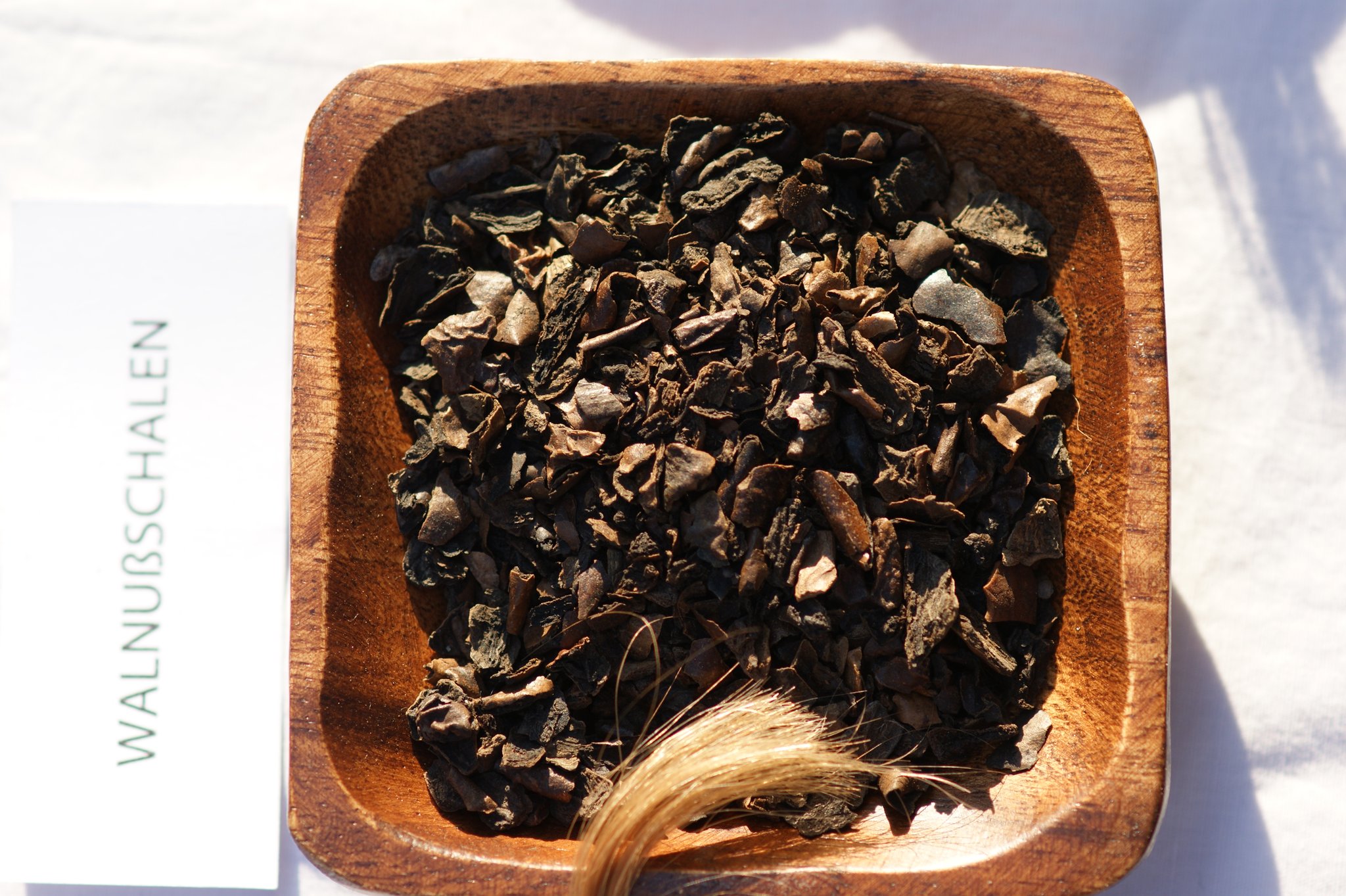  Juglans regia, Walnuss, gefärbte Haare