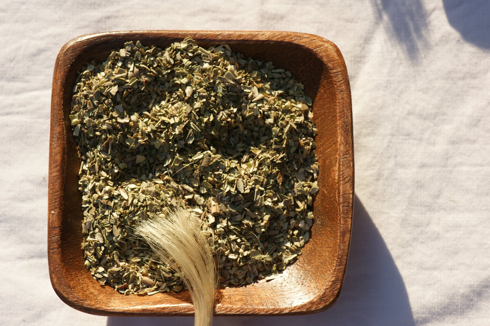  Origanum vulgare, Oregano, gefärbte Haare