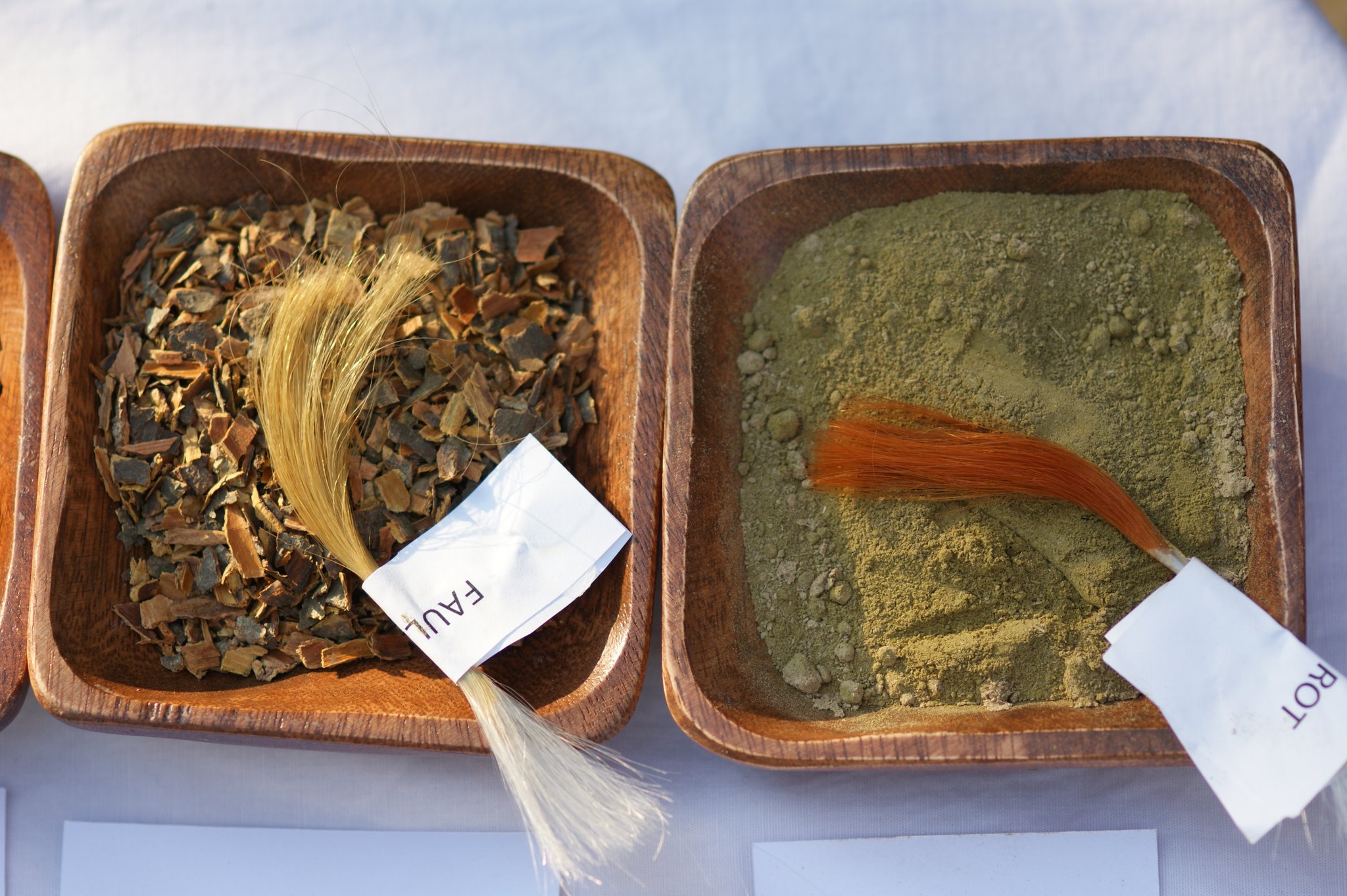 Pflanzenhaarfarben, Färberpflanzen