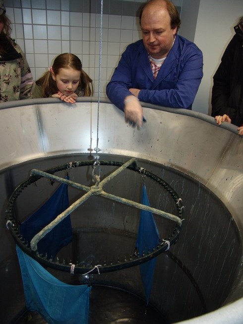 faerberpflanzen vortrag Vortrag Färberpflanzen Dieburg