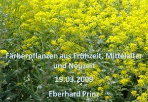 Färberpflanzen violett, purpur, lila