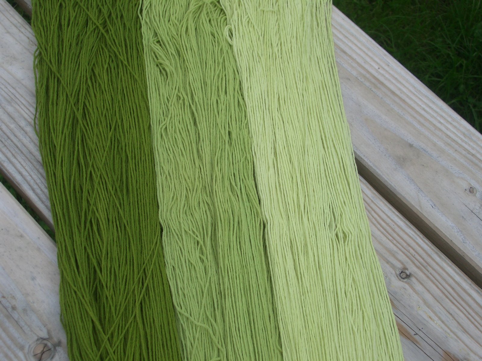 Schilfblüten, Phragmites australis, gefärbte Wolle, Pflanzenfarbe Schilfblüten, Phragmites australis, gefärbte Wolle, Pflanzenfarbe