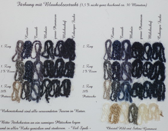 Pflanzenfärbung mit Blauholz-Extrakt auf Ramie, Tussahseide, Mohairwolle, Wolle vom grauen Pommernschaf, Milchschafwolle, Wolle vom Coburger Fuchs-Schaf Pflanzenfärbung mit Blauholzextrakt auf Ramie, Tussahseide, Mohairwolle, Wolle vom grauen Pommernschaf, Milchschafwolle, Wolle vom Coburger Fuchs-Schaf