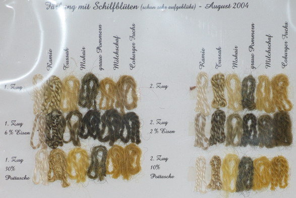 Schilffärbung auf Ramie, Tussahseide, Mohairwolle, Wolle vom grauen Pommernschaf, Milchschafwolle, Wolle vom Coburger Fuchs-Schaf