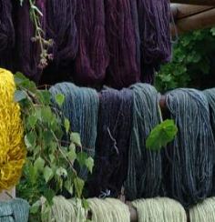 Färben von Wolle und Seide mit Pflanzenfarben